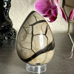 Septarian Egg