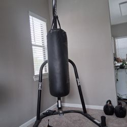 Everlast Stand & Bag