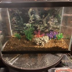 20 Gallon High Fish Tank