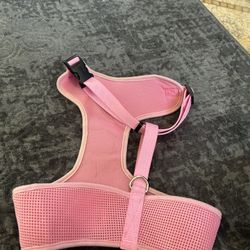 Dog Harness