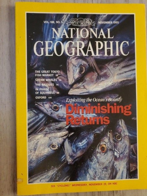 Collection Of National Geographic Magazines