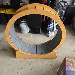 Cat Wheel