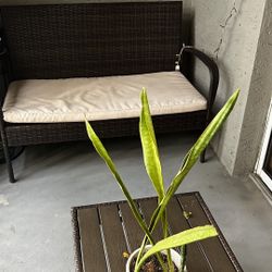 Patio Furniture $70