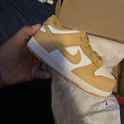 8c Nike Dunks 