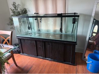 180 gallon fish tank aquarium