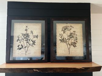 🌿 Large Framed Botanical Wall Art Set – Set of 2 Matching Prints 🌿