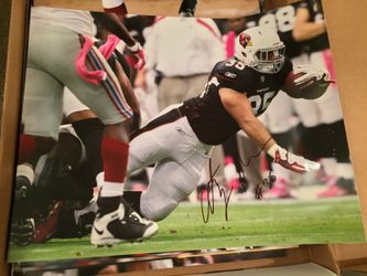 Anthony Sherman autographed 16x20 photo