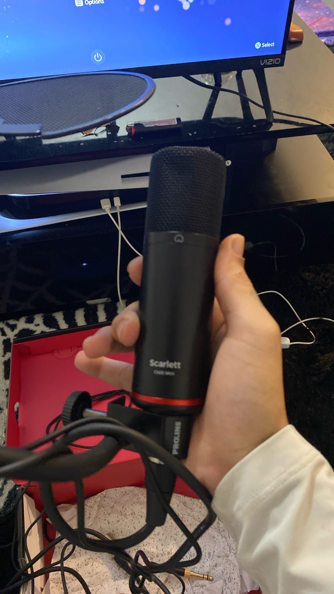 Scarlett Microphone