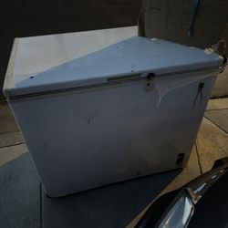 Free FREEZER 