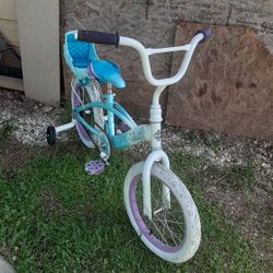 Princess Frozen 16 Inch Bike / Bicycle with Training Wheels ( Princesa  Bicicleta Con Llantas 16 Pulgadas )