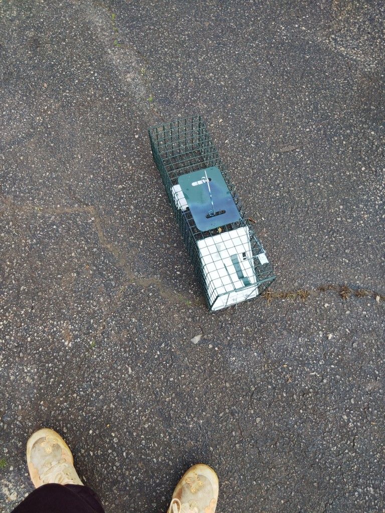 Cage Trap