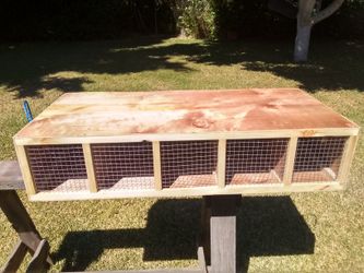 Bird Carrier 5 Compartment New