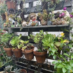 Garden Pallet Stand