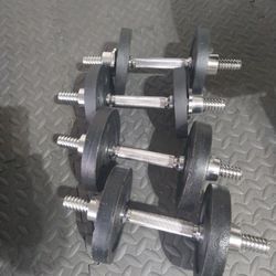 Weights 154 Pounds And Reebok Bench