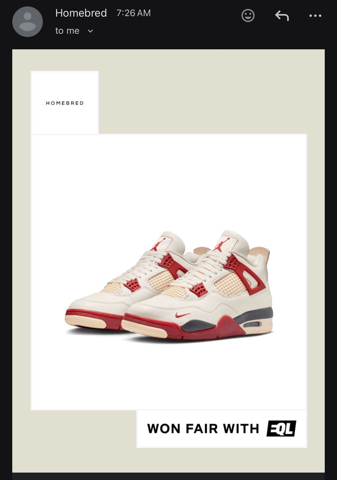 Nigel sylvester Jordan 4 sail Brick after Brick size 9