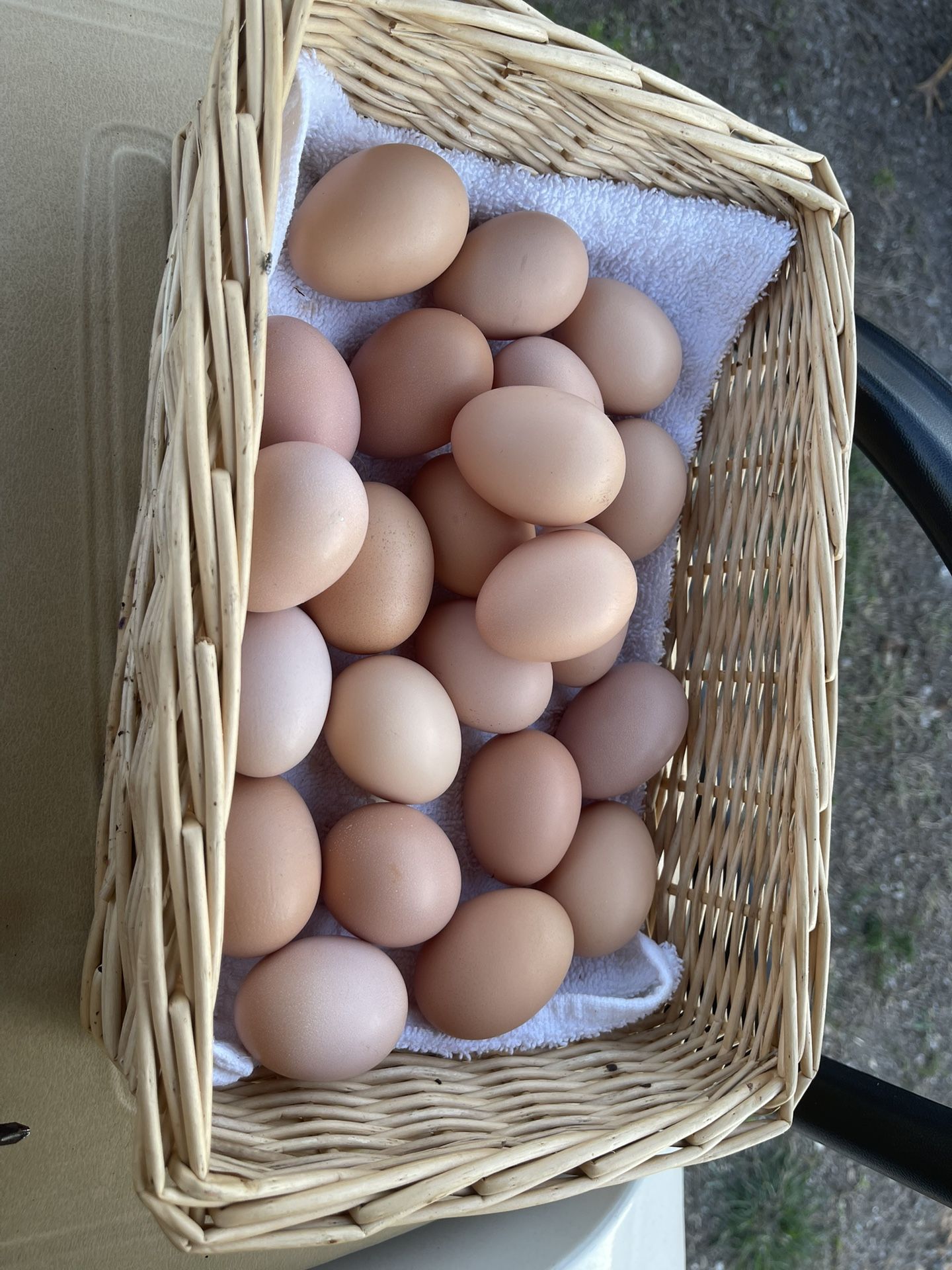 Fresh Organic Eggs