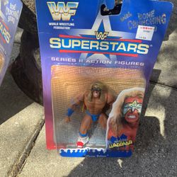 Wwf Wwe Collectible Figurines Wrestling Vintage Characters 