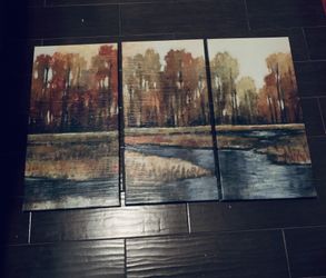 Canvas Picture Frame 