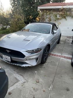 2019 Ford Mustang