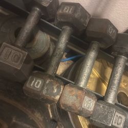 10 Lb Hex Dumbbells 