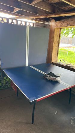Ping Pong Table