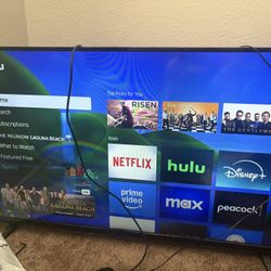 Vizio Tv 43 Inch. Read Description 