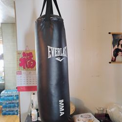 Everlast Punching Bag