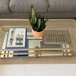 West Elm Coffee Table