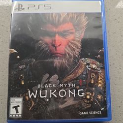 Black Myth Wukong (PS5)