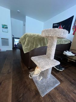 cat tree
