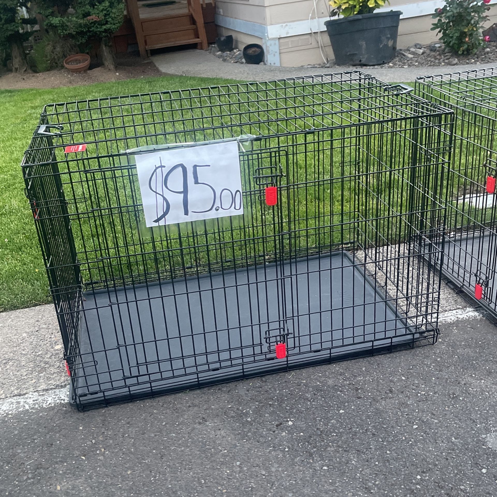 Dog Cages 