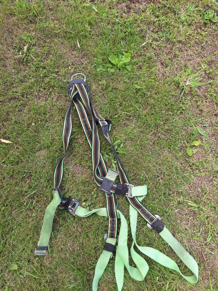 Safety Harness