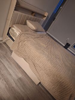 Designer Bed frame, and matress