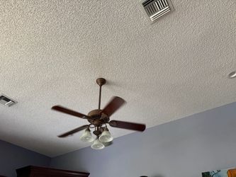 48 in Hunter Fan with lights