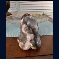 agate skull octopus