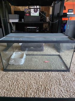 Large Terrarium with Screen Top, Bowl, Thermo/Hygrometer