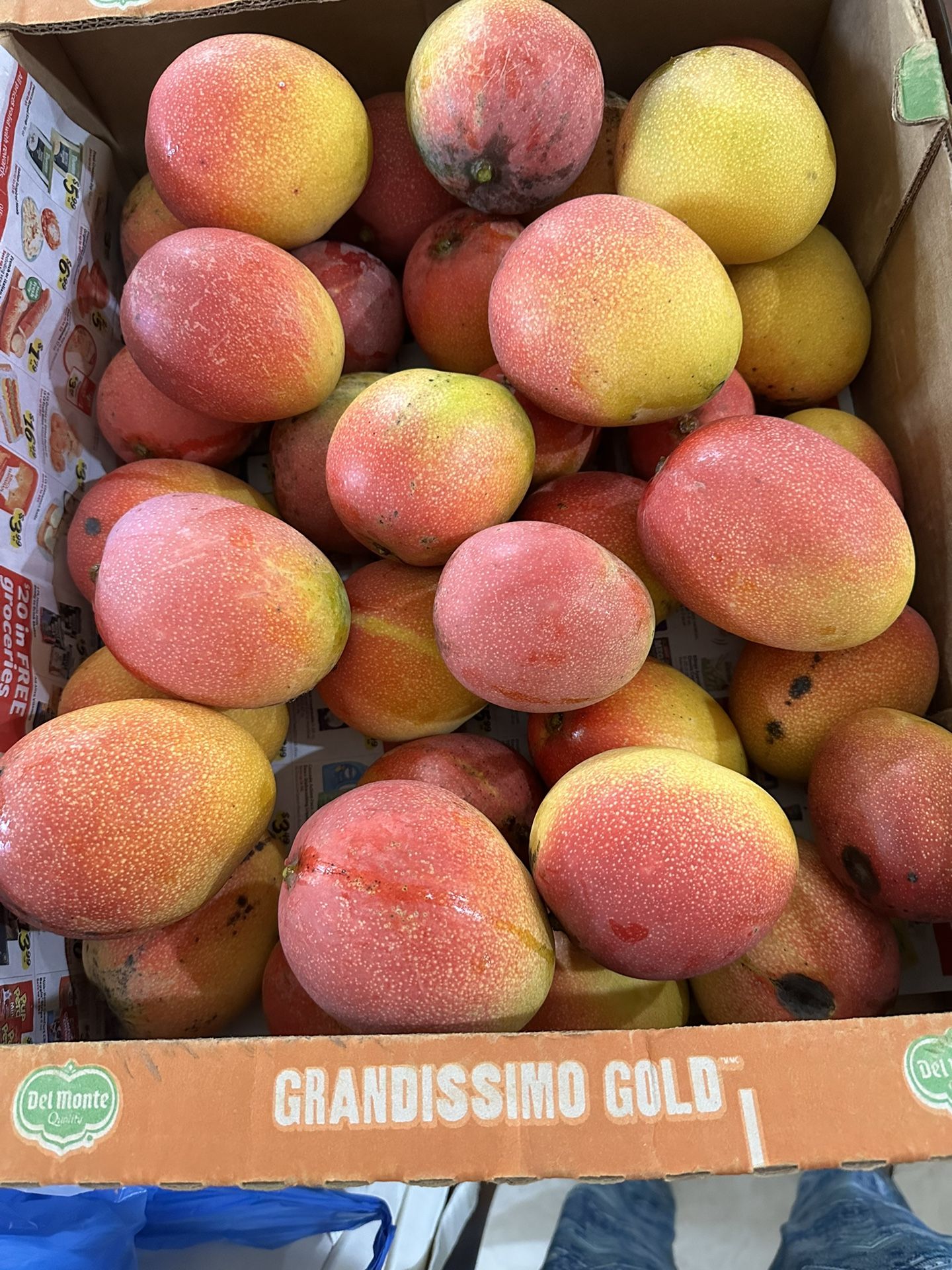 Organic Hayden Mangoes for Sale in Fort Lauderdale, FL OfferUp