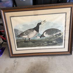Canadian Goose Picture  49 1/2” X 37 1/2”