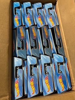 Hot wheels formula1 case