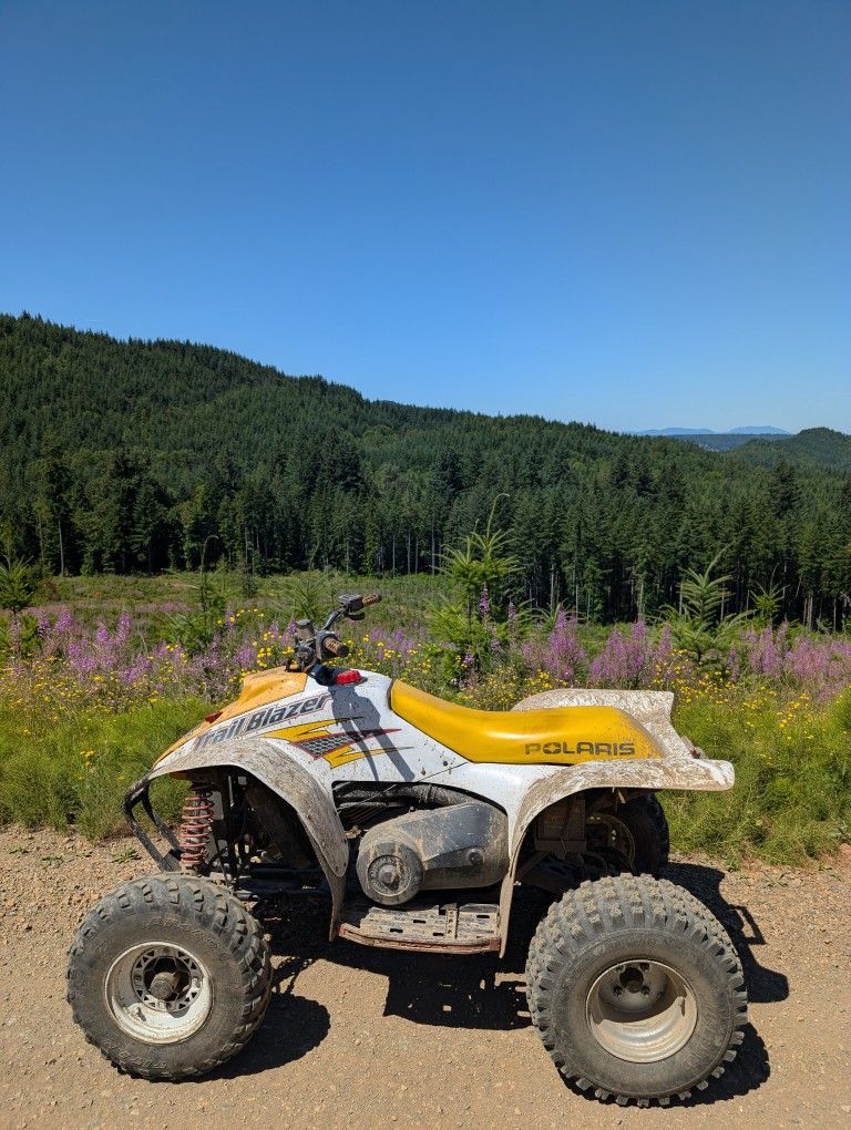 2001 Polaris Trailblazer 250