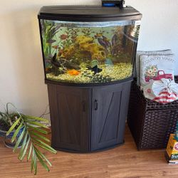 50gal Tank With Stand