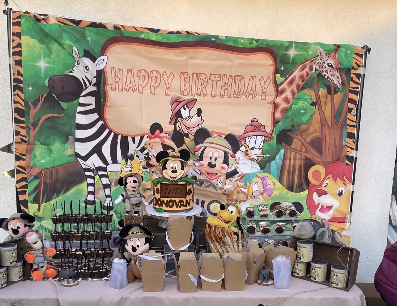 Mickey Safari backdrop
