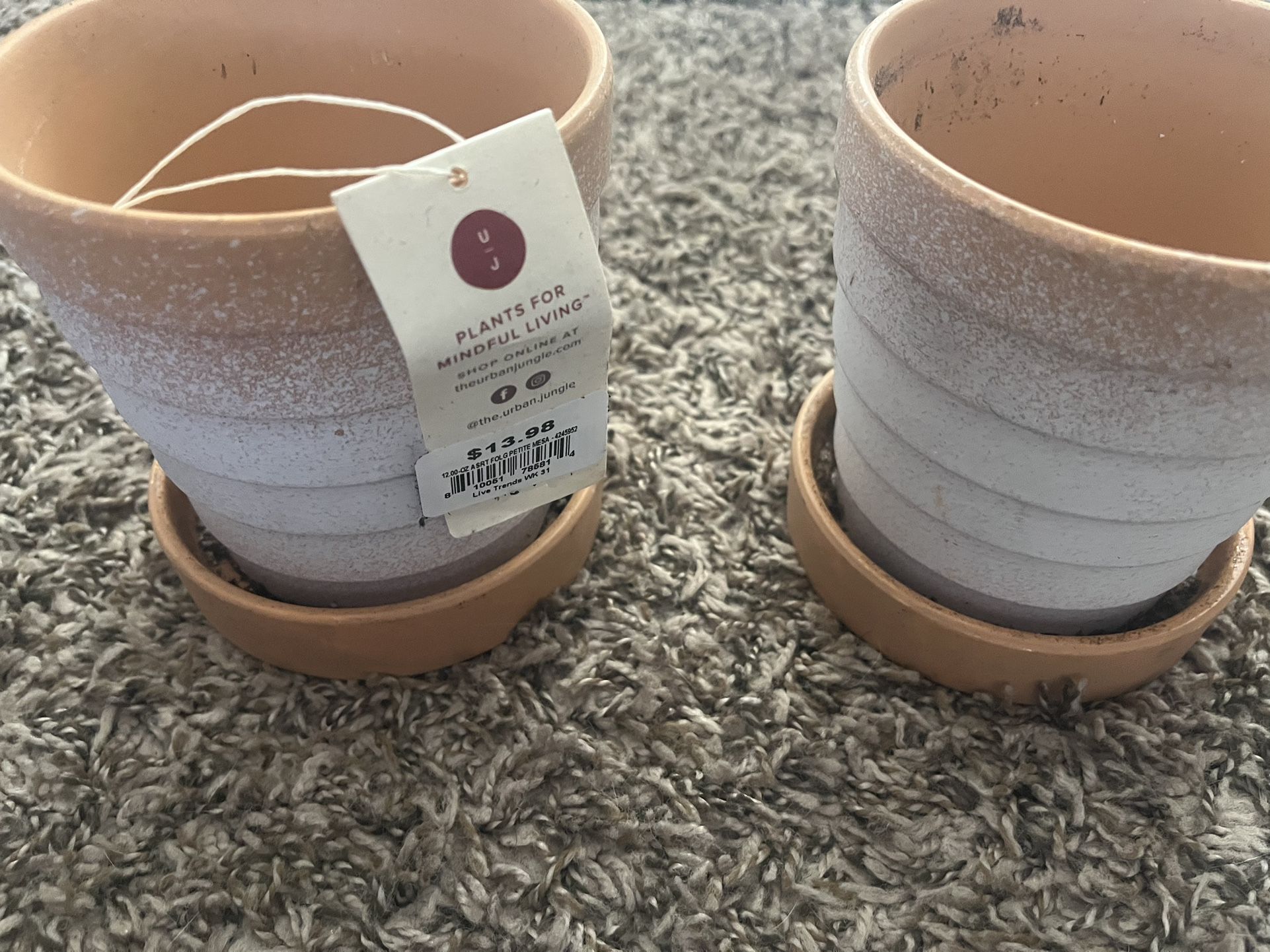 Plant pots - Set Of 2