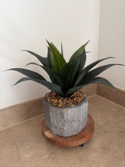 Decorative Plant + Textured Planter + Wood Stand