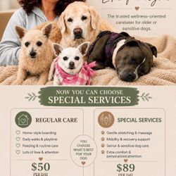 SENIOR & SENSITIVE DOG CARE – HOME STYLE BOARDING + SPECIAL SERVICES 🐾