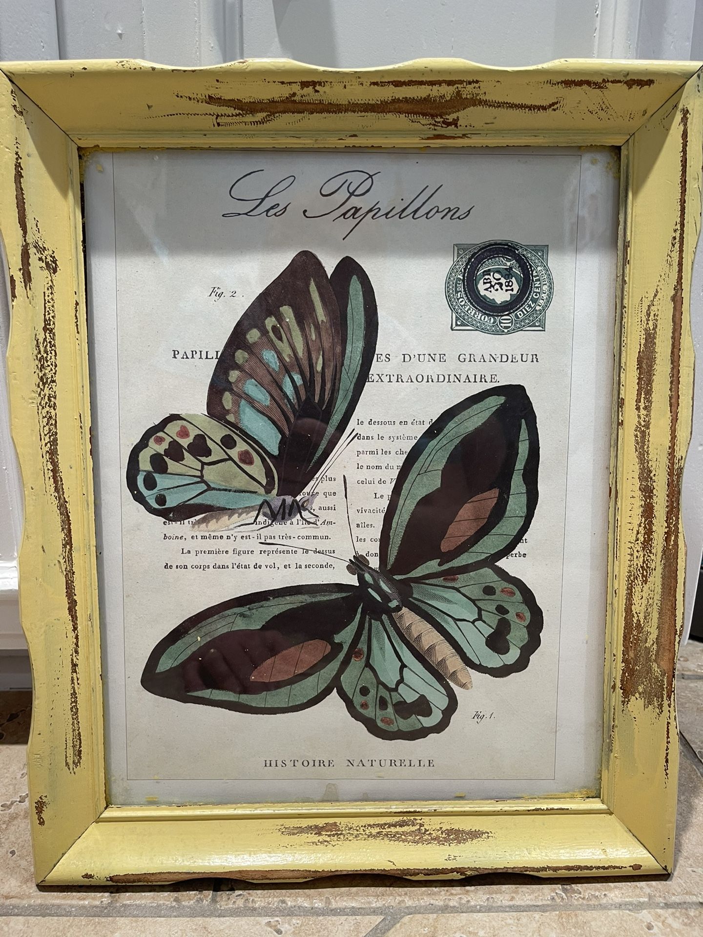 Framed Artwork