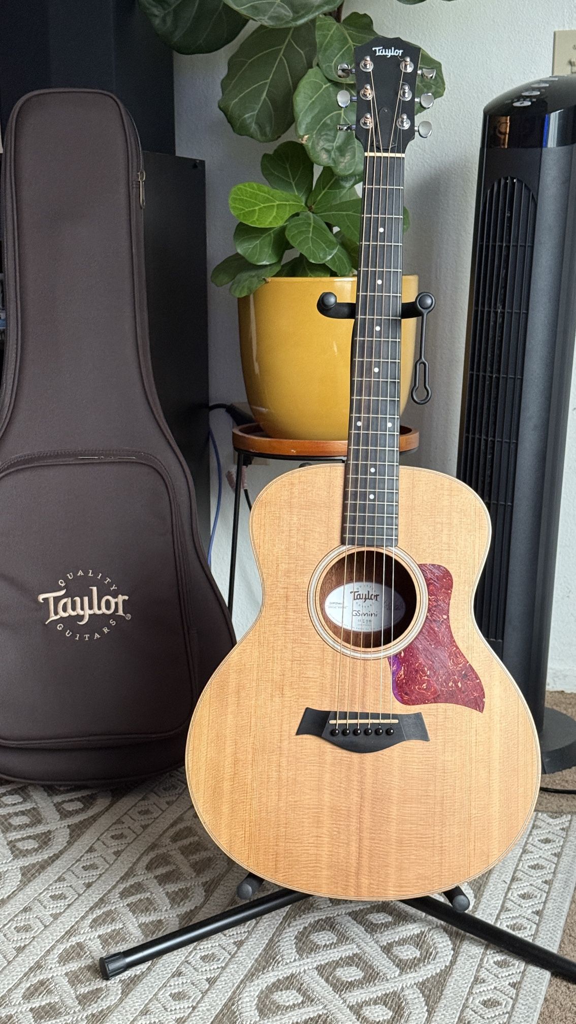 Taylor Gs Mini Acoustic Guitar