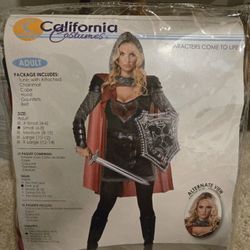 Lady KNIGHT Halloween Costume 