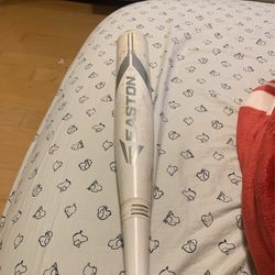 Drop -10 Easton Bat 31 Inches