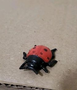 Safari Ltd Ladybug Figure Realistic Red Insect Bug Animal Toy 261029